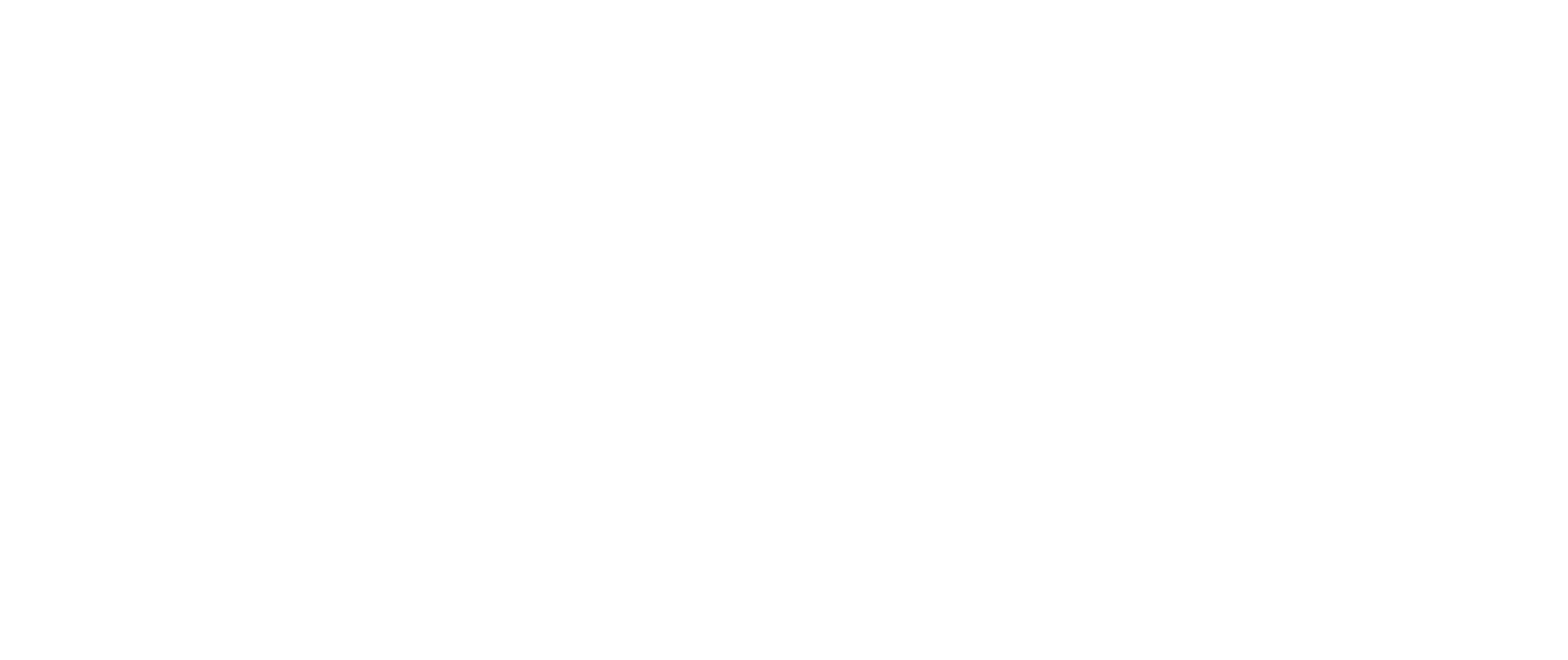 logo light